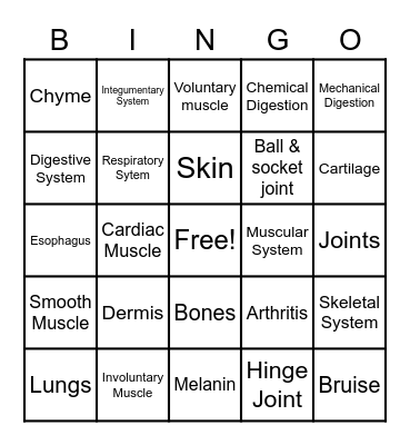 Body Systems BINGO Card