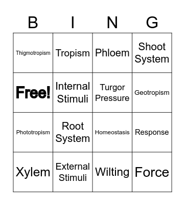 Unit 3 Vocabulary Bingo Card