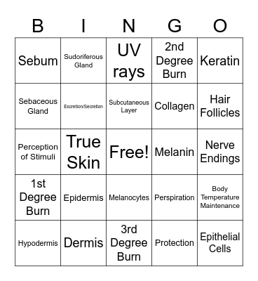 Integumentary System Bingo Card