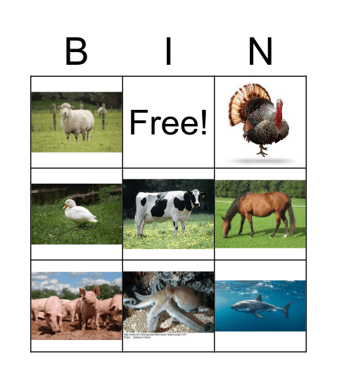 animales Bingo Card