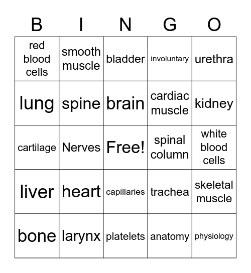 organ systems Bingo Card