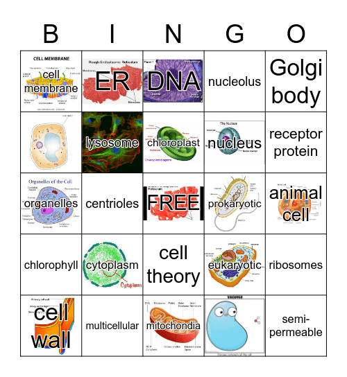 CELL BINGO Card