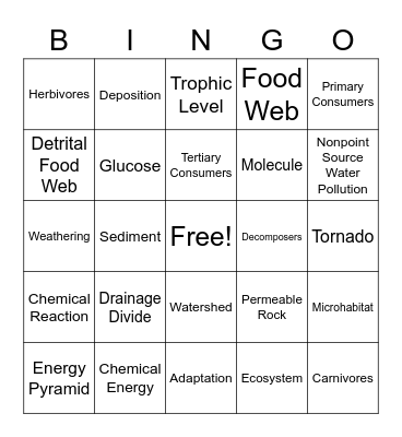 Vocabulary Bingo Card