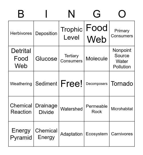 Vocabulary Bingo Card