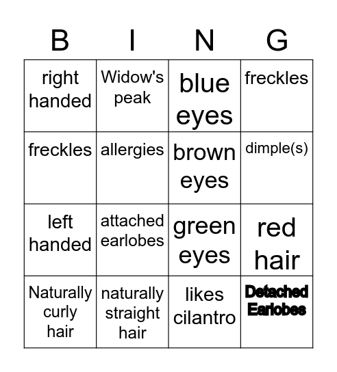 Name: ____________________________  Traits Scavenger Hunt Bingo Card