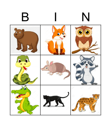 North and South American Animals Bingo Card
