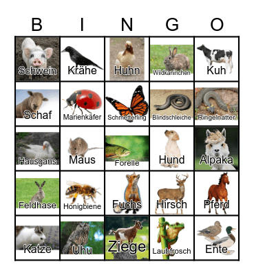 Animals Bingo Card