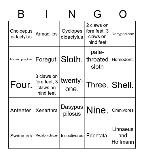 Xenarthra Bingo! Bingo Card