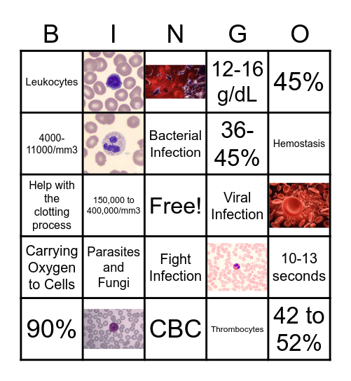 Review of Hematology Bingo Card