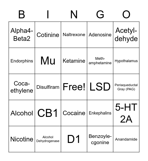 BNS 360 - Exam 3 Bingo Card