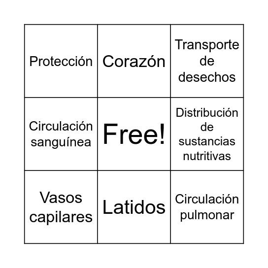 Sistema Circulatorio Bingo Card