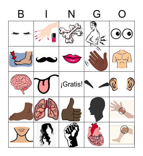 P.5 EL CUERPO (IMAGENES) Bingo Card