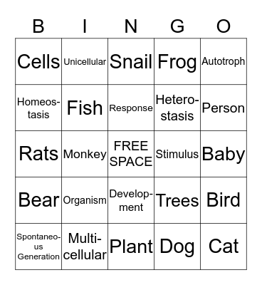 Vocabulary Words  Bingo Card