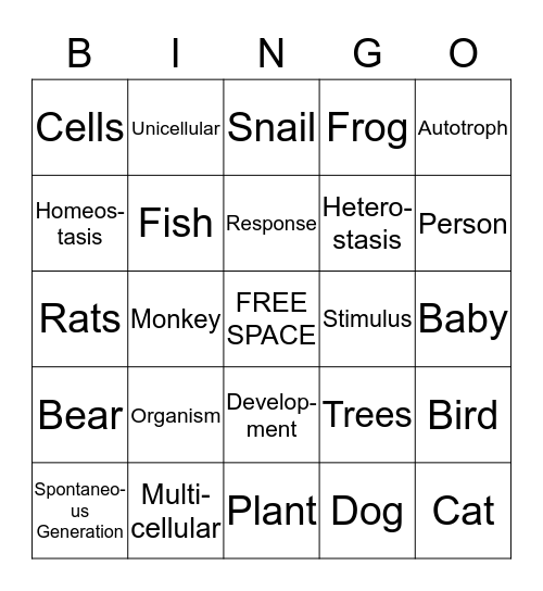 Vocabulary Words  Bingo Card