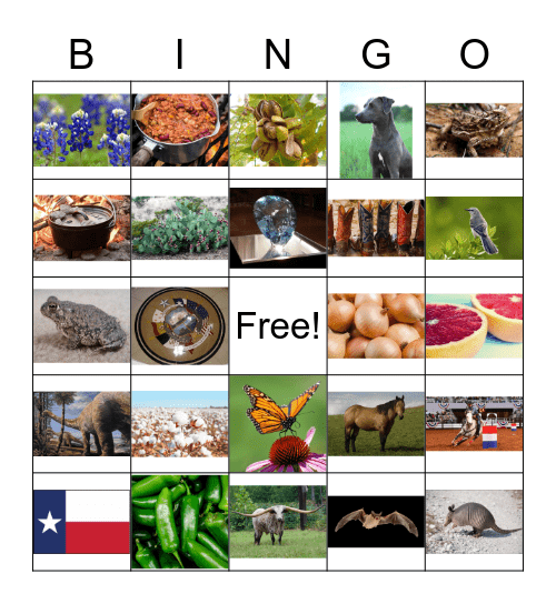 Texas "Officials" Bingo Card