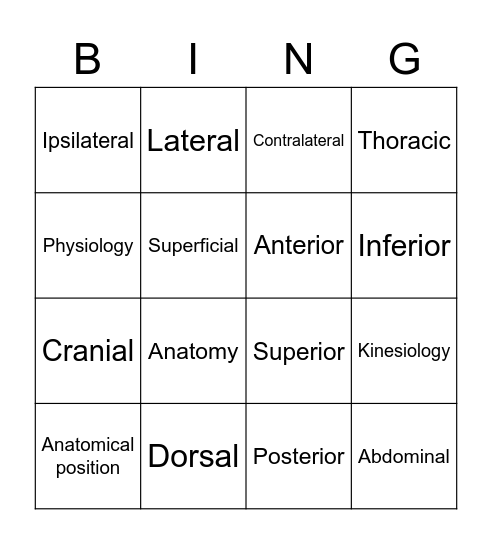 Anatomy Bingo Card