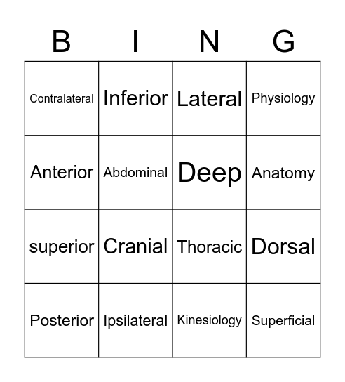 Anatomy Bingo Card