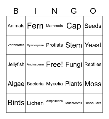 The 5 Kingdoms Bingo Card