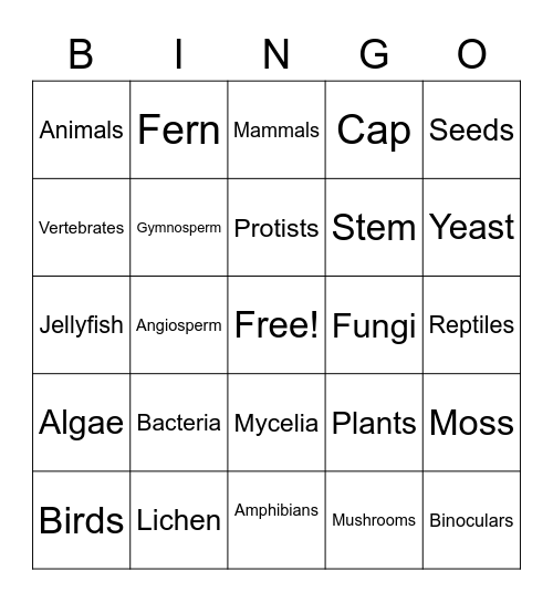 The 5 Kingdoms Bingo Card