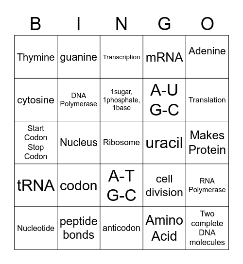 Protein Synthesis Bingo Card