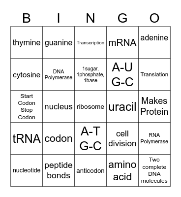 Protein Synthesis Bingo Card