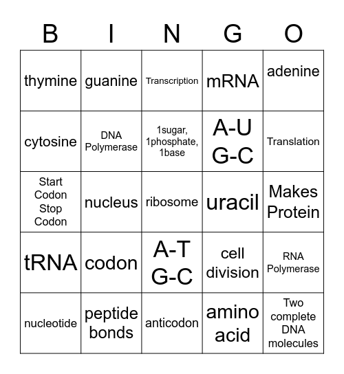 Protein Synthesis Bingo Card