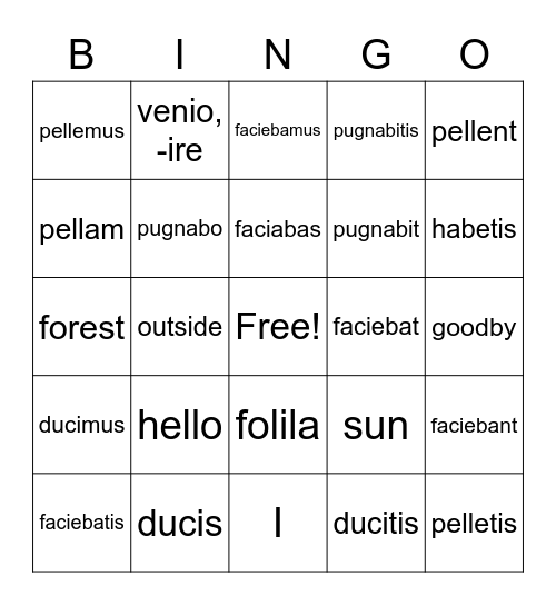 Latin 11.19 Bingo Card
