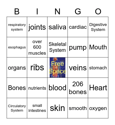 Body Systems Bingo Card