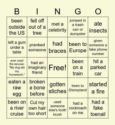 Never Have I Ever... Bingo Card