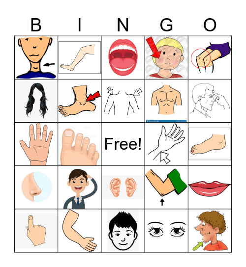 Parts of the Body (images only) Bingo Card