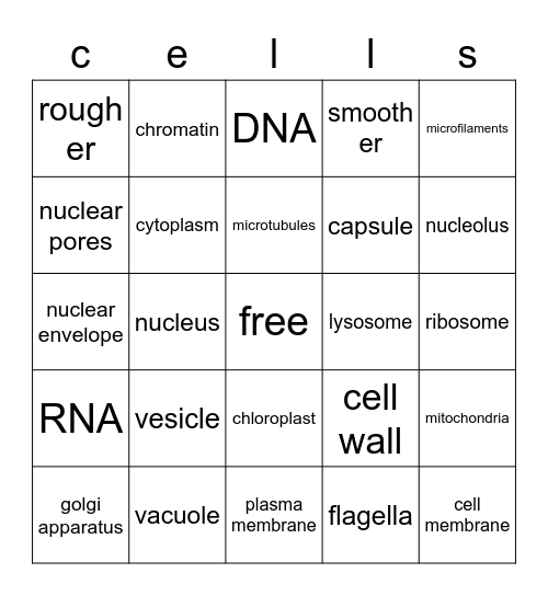 organelle bingo Card