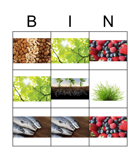 BEARS' FOOD Bingo Card