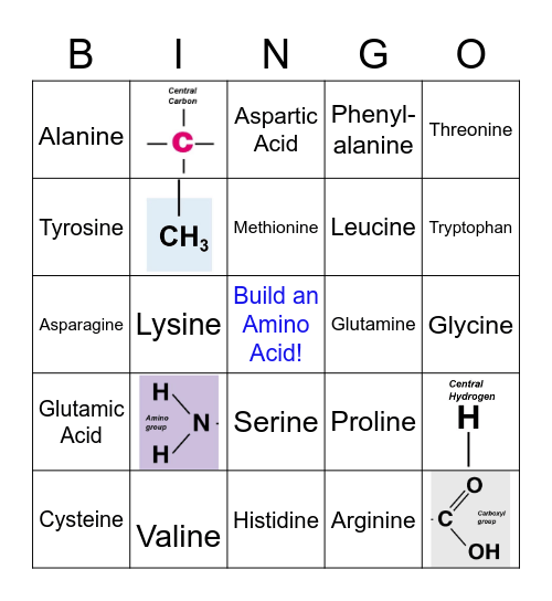 Amino Acid Bingo Card