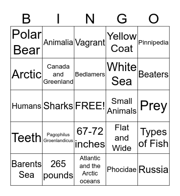 The Harp Seal Bingo Card