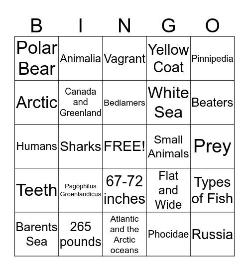 The Harp Seal Bingo Card