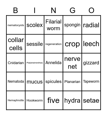 Sponges/Cnidarians/Worms BINGO Card