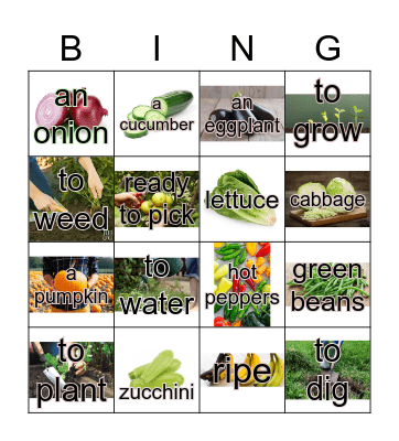 Fresh Food Bingo Card