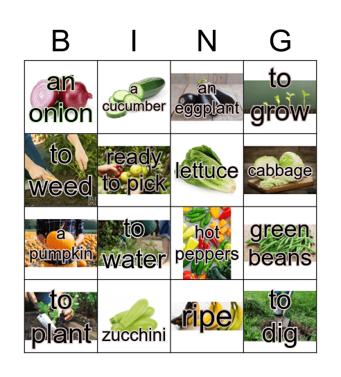 Fresh Food Bingo Card