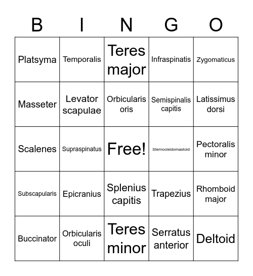 Muscle List #1 Bingo Card