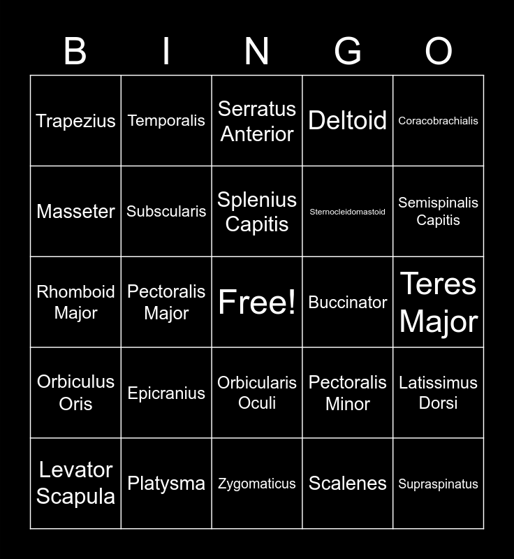 Muscle List 1 Bingo Card