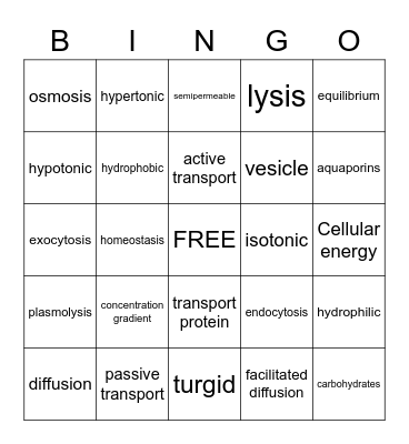 Cell Transport Bingo Card