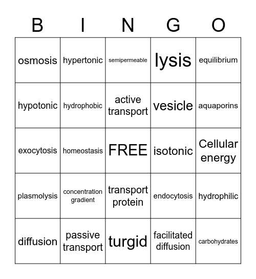 Cell Transport Bingo Card