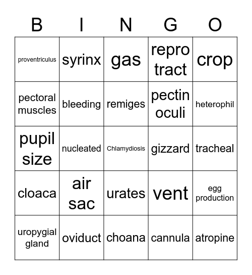 AVIAN UNIT Bingo Card