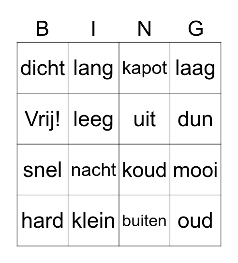 Tegenstellingen Bingo Card