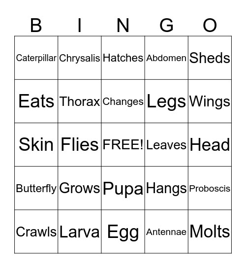 BUTTERFLY Bingo Card