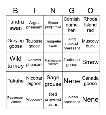 Thanksgiving Bird Bingo Card