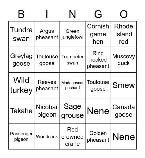 Thanksgiving Bird Bingo Card