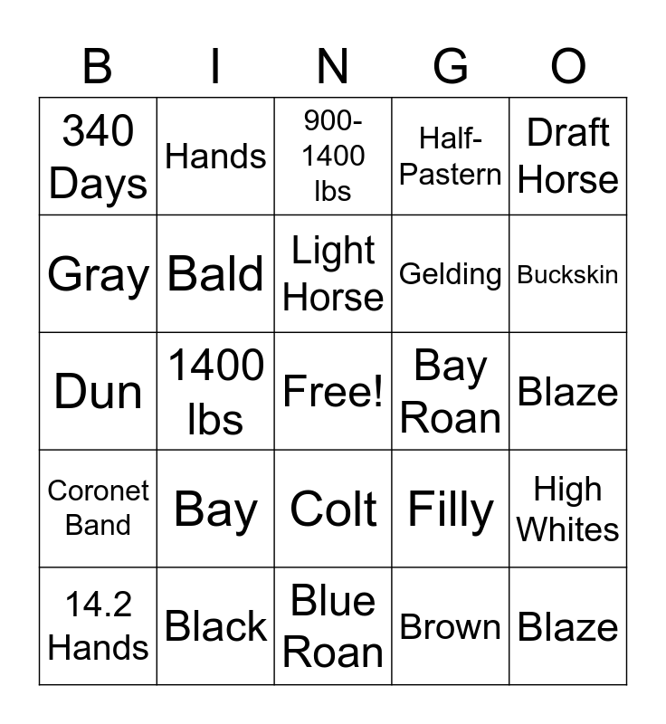 Equine Bingo Card