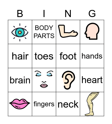 Body parts Bingo Card