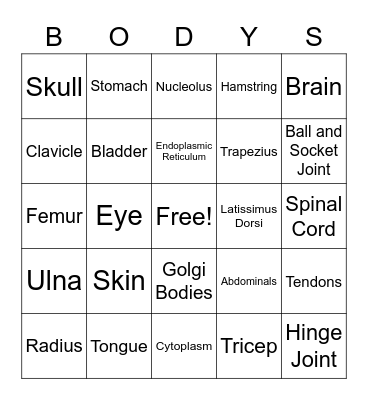 7th Health Class Bingo Card